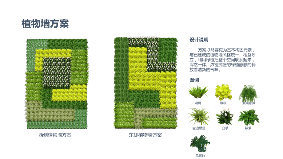 植物墙方案课件.pptx_第2页
