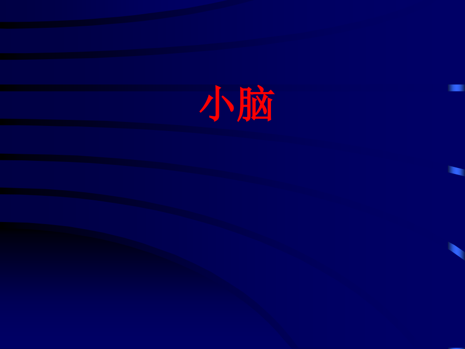 小脑解剖完整版.ppt_第1页