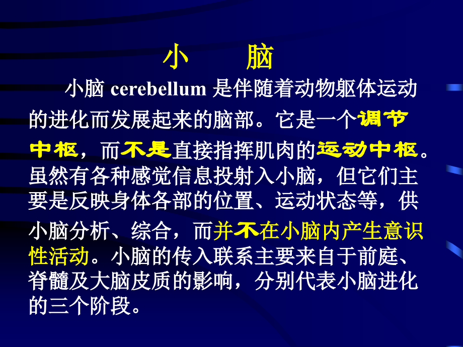 小脑解剖完整版.ppt_第2页