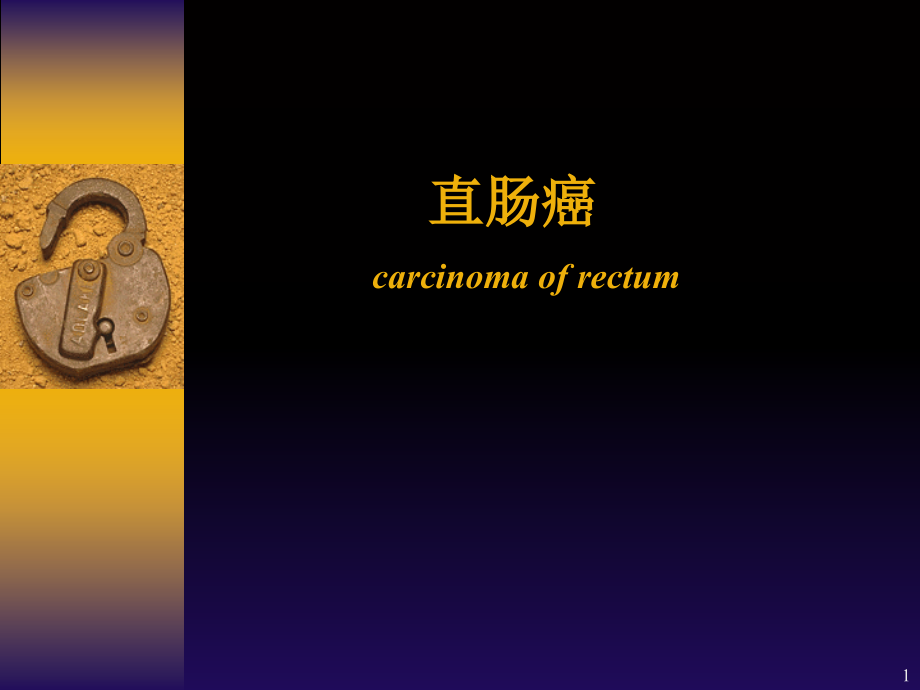 夜大直肠癌护理.ppt_第1页
