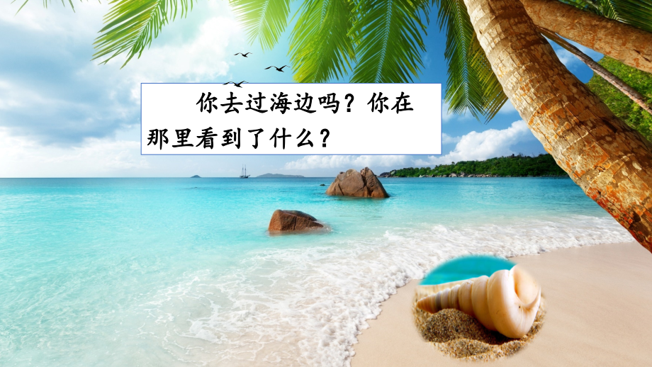 部编人教版二年级语文下册《“贝”的故事》优秀课件.pptx_第1页