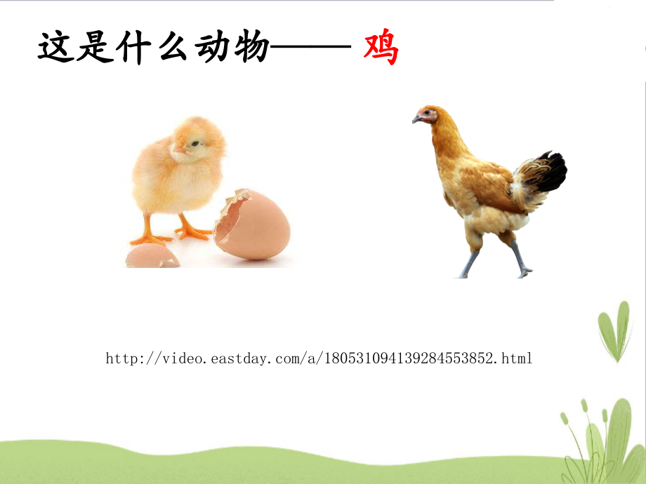 教科版科学二年级上册：开学第一课-始业教育课-课件.pptx_第2页