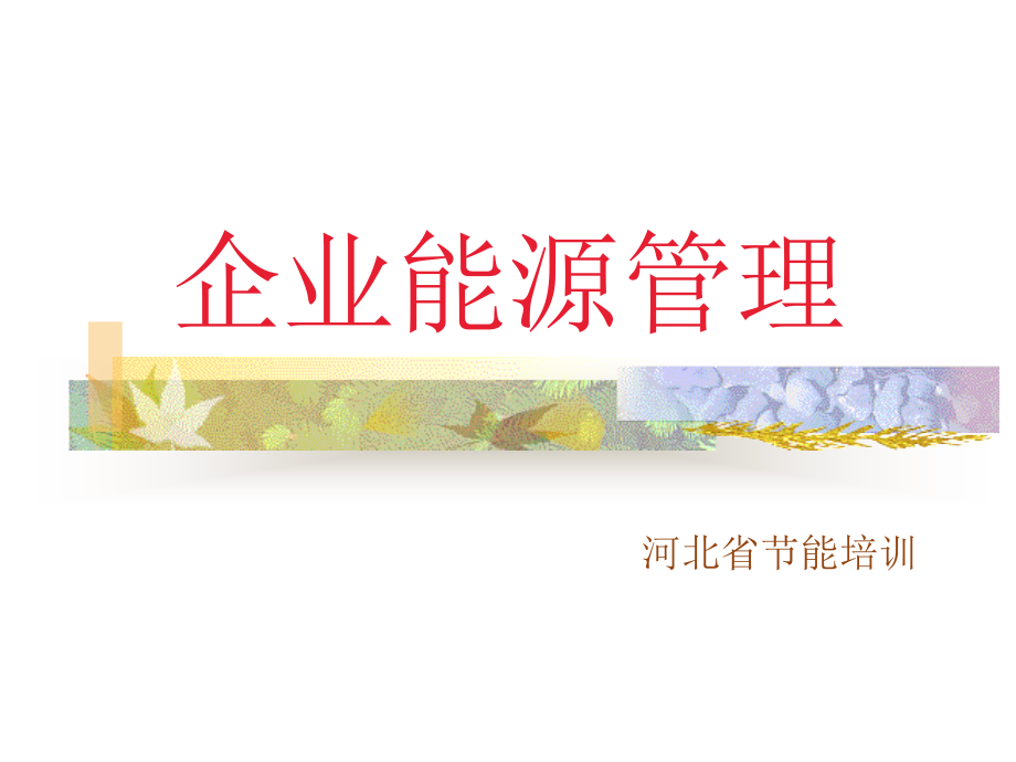 节能管理培训.pptx_第1页