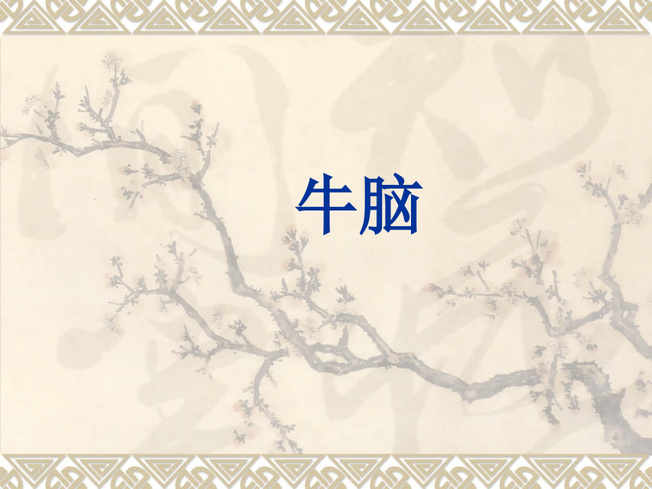 动物解剖学神经系PPT医学课件.ppt_第1页