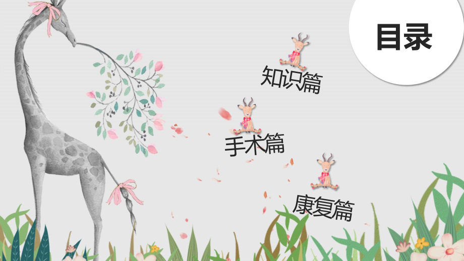唇裂健康宣教.ppt_第2页