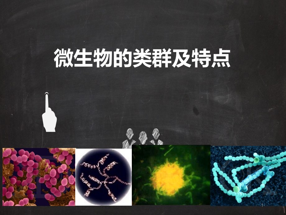 微生物的类群及特点.ppt_第1页