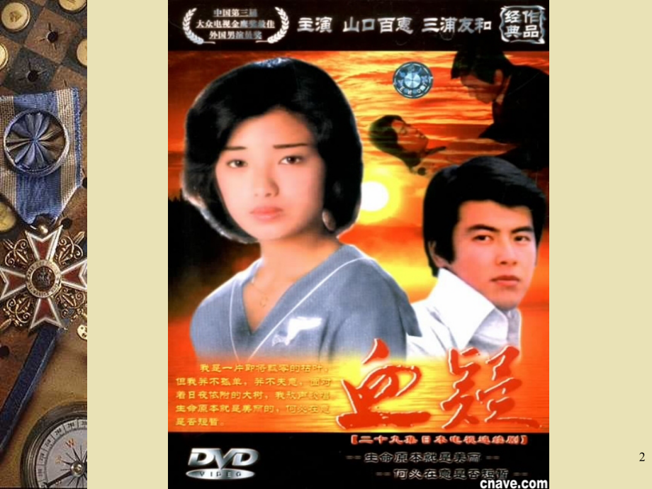 白血病的护理.ppt_第2页
