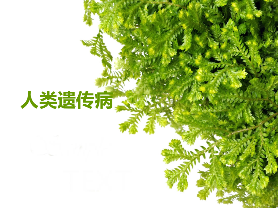 生命科学概论.ppt_第2页