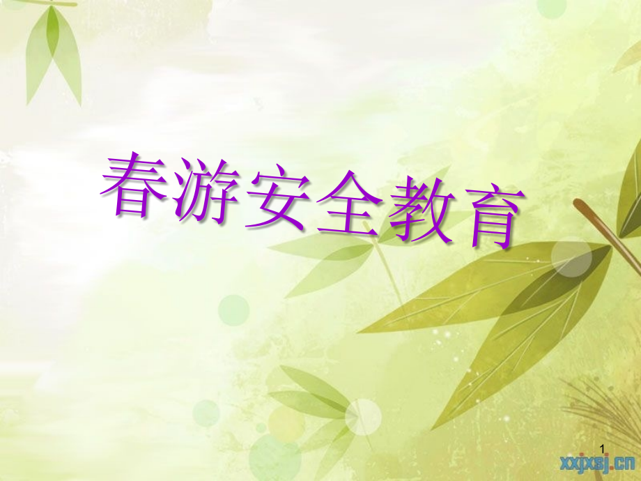 春游安全教育主题班会.ppt_第1页