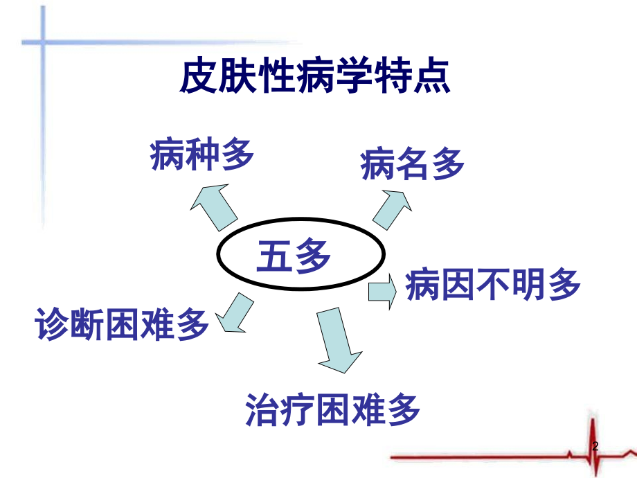 皮肤的结构和功能.ppt_第2页