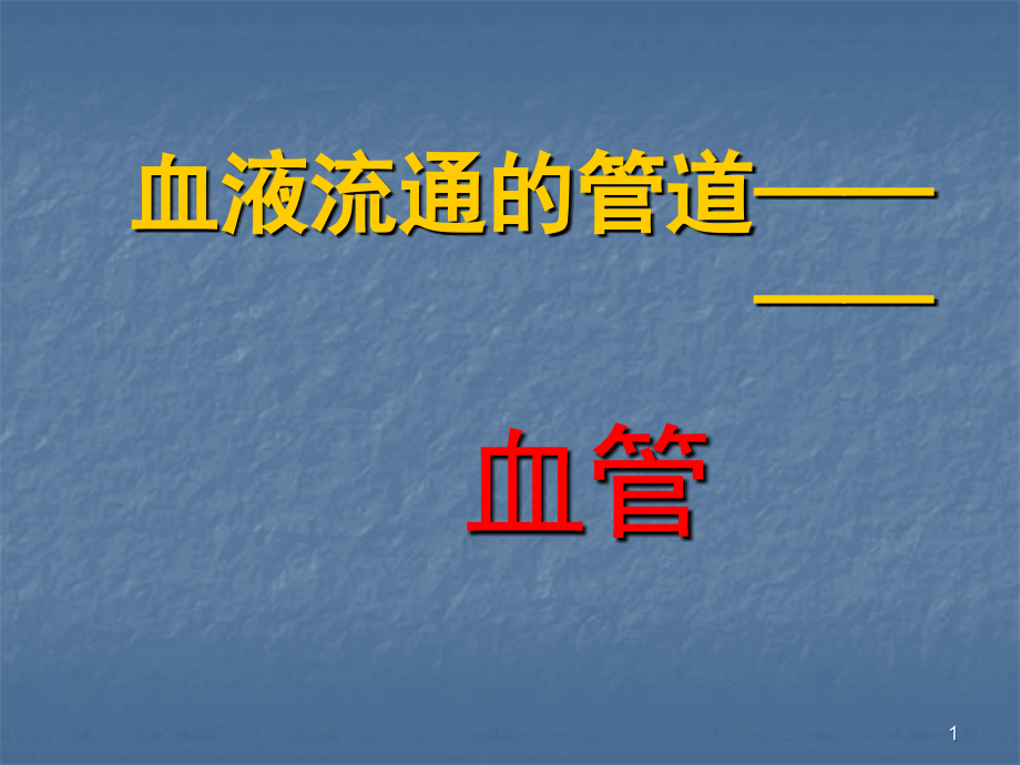 生物血管.ppt_第1页