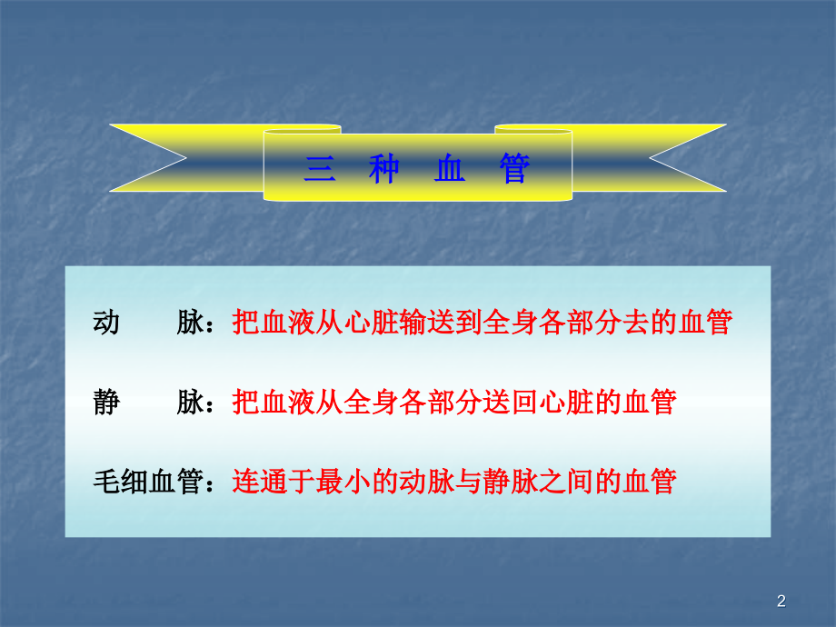 生物血管.ppt_第2页
