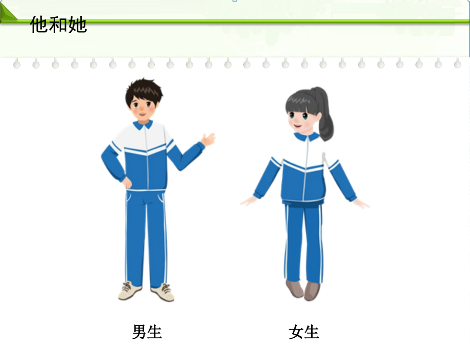 部编人教版七年级下册道德与法治：第二课青春的心弦第一框男生女生课件.ppt_第2页