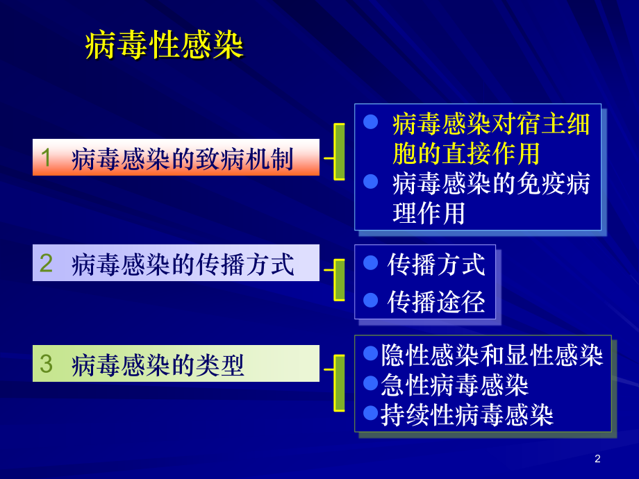 感染病毒性感染.ppt_第2页