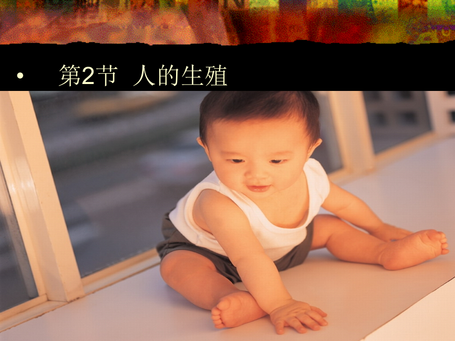 人的生殖.ppt.ppt_第2页