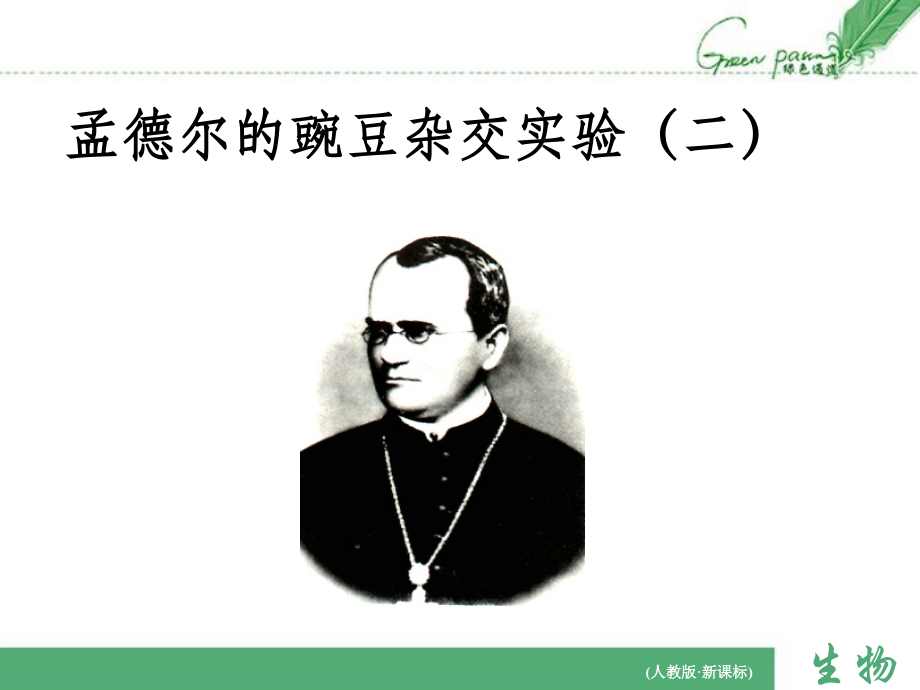 两对相对性状的杂交实验.ppt_第1页