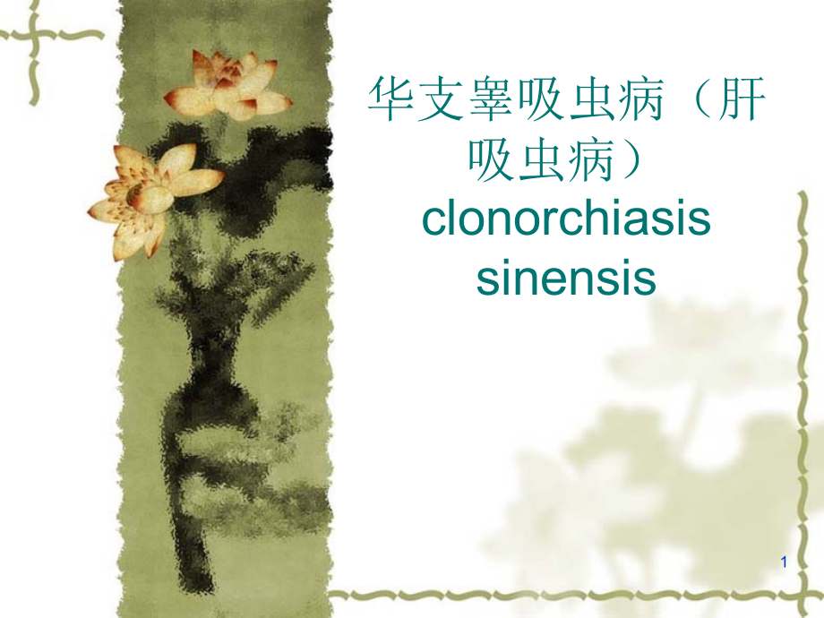 华支睾吸虫病.ppt_第1页