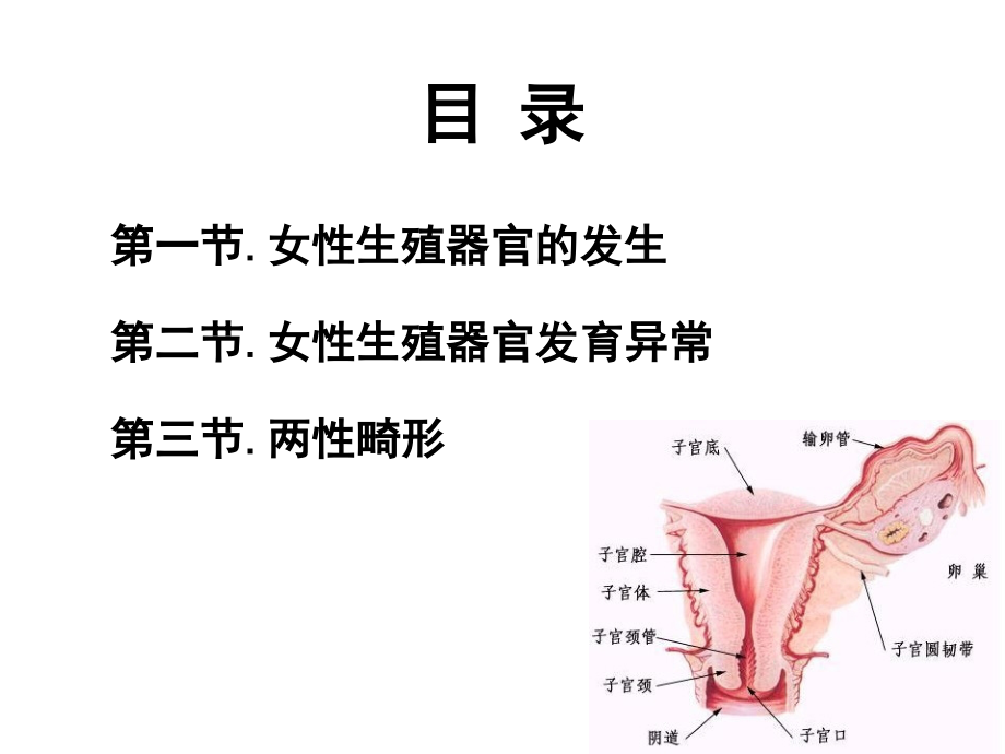 女性生殖器官发育异常.ppt_第2页