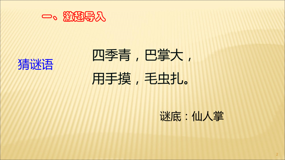 仙人掌教学.ppt_第2页