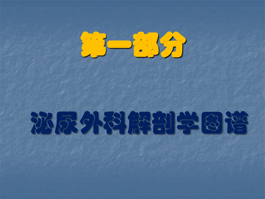 泌尿外科疾病知识及观察护理要点.ppt_第2页