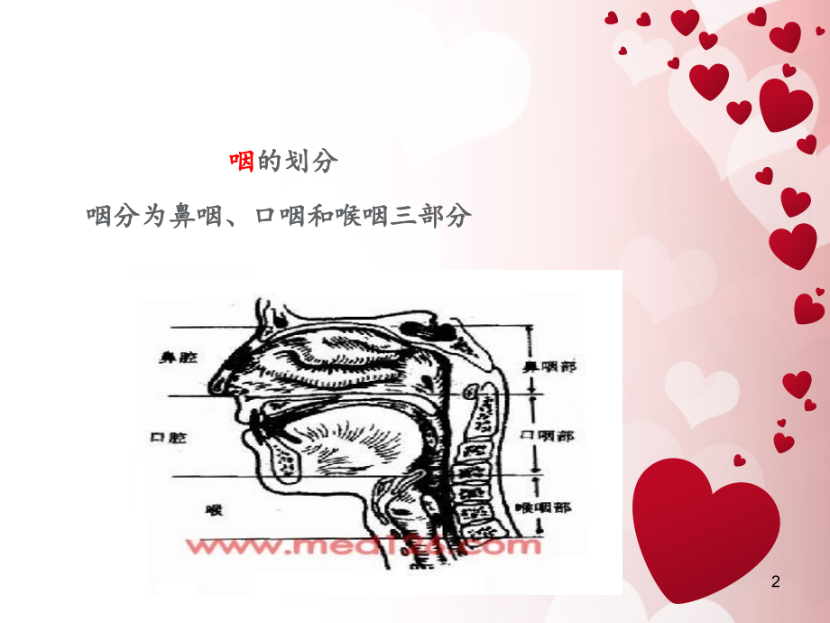 下咽癌护理查房.pptx_第2页