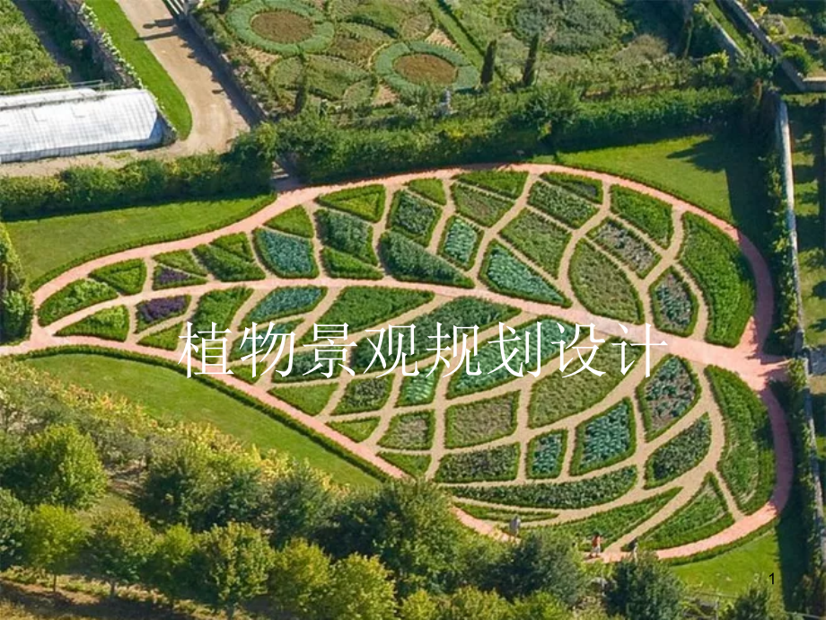 植物景观设计优秀课件.ppt_第1页