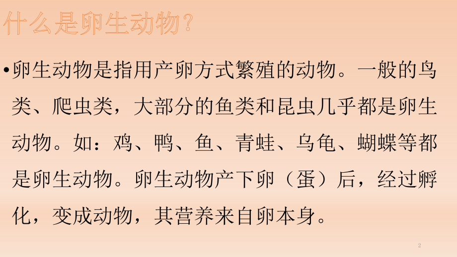 卵生动物.ppt_第2页