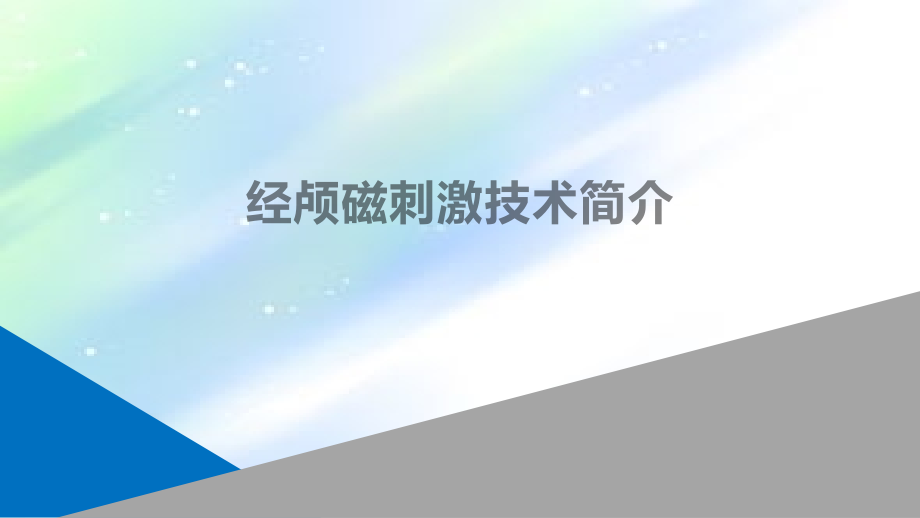经颅磁刺激技术简介.ppt_第1页