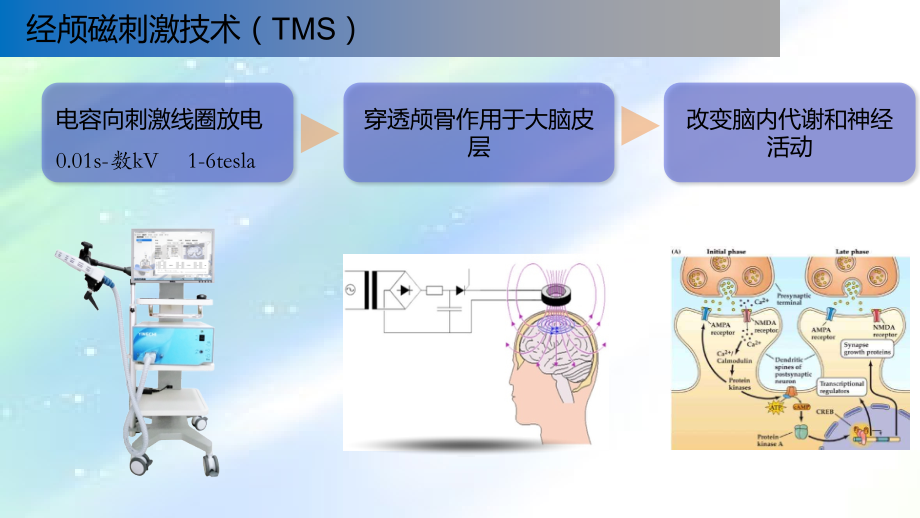 经颅磁刺激技术简介.ppt_第2页