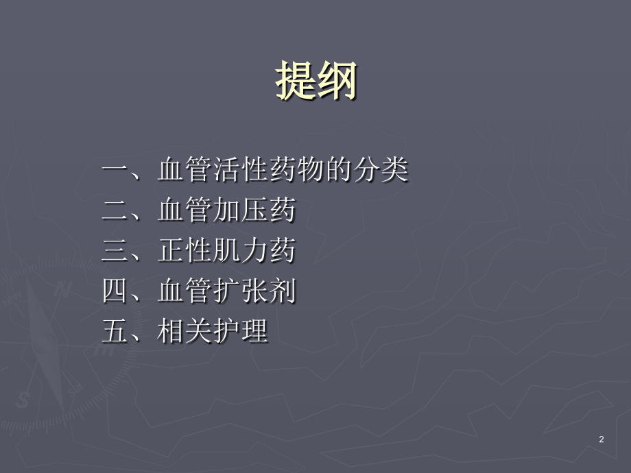 常用血管活性药物的应用PPT.ppt_第2页