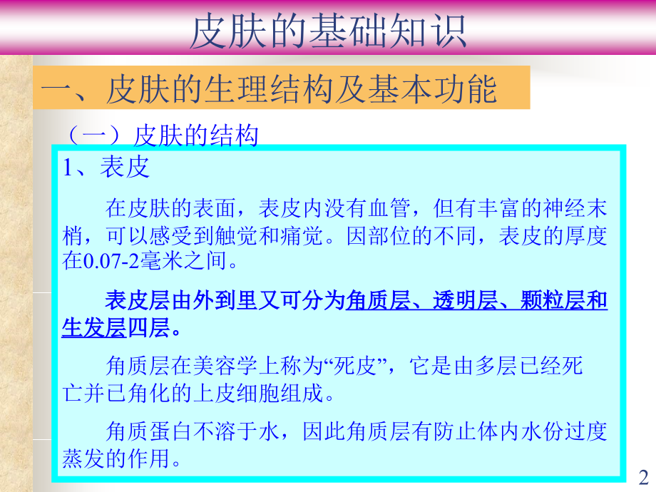 皮肤基础知识大全.ppt_第2页
