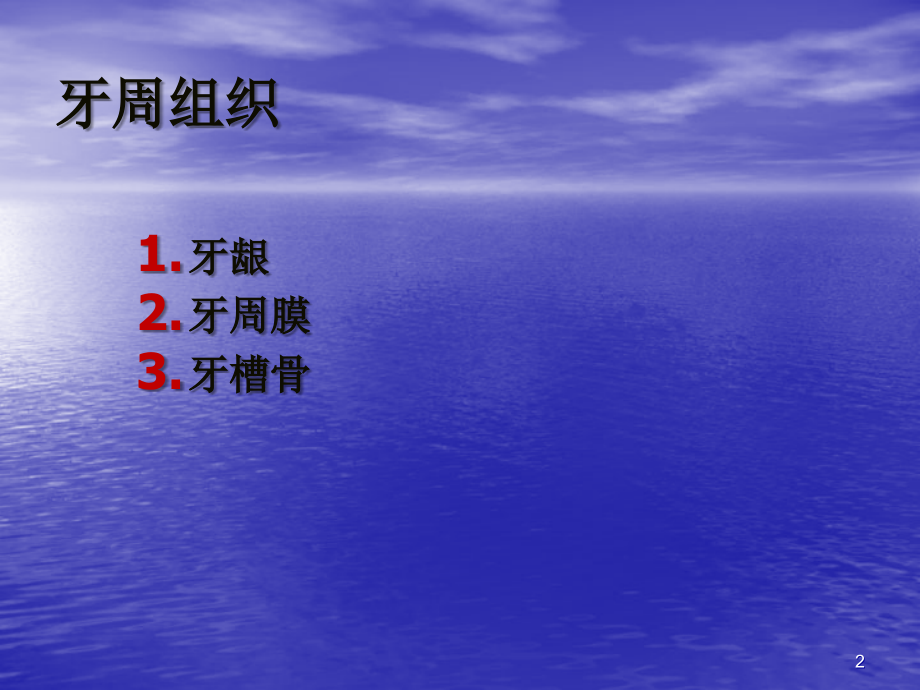 牙周组织.ppt_第2页