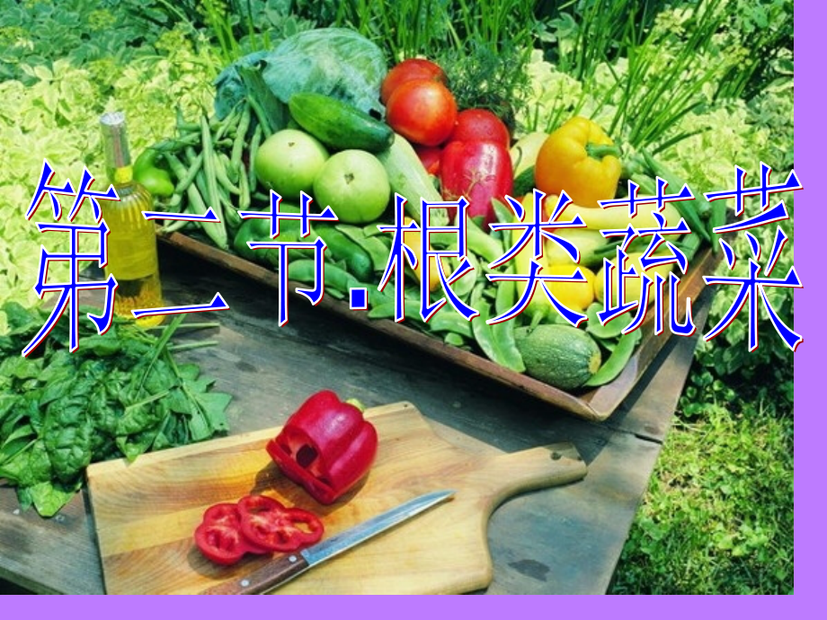 蔬菜根菜类和茎菜类.pptx_第1页