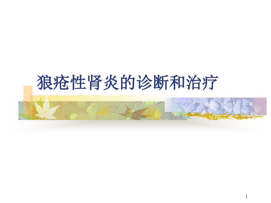狼疮性肾炎的诊断和治疗.pptx_第1页
