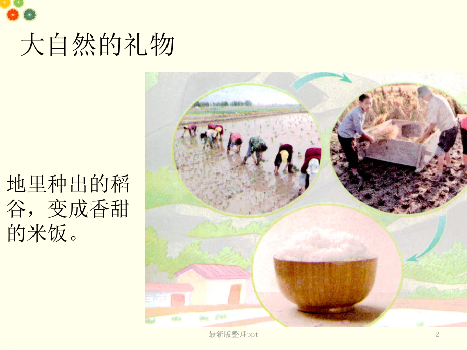 人教版道德与法治《大自然-谢谢您》.ppt_第2页