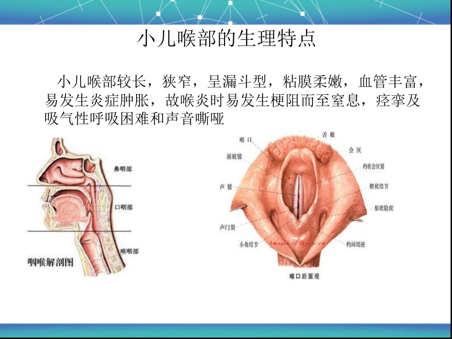 喉炎并喉梗阻护理查房.ppt_第2页
