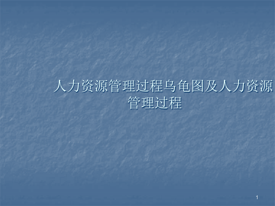 人力资源管理实践.ppt_第1页