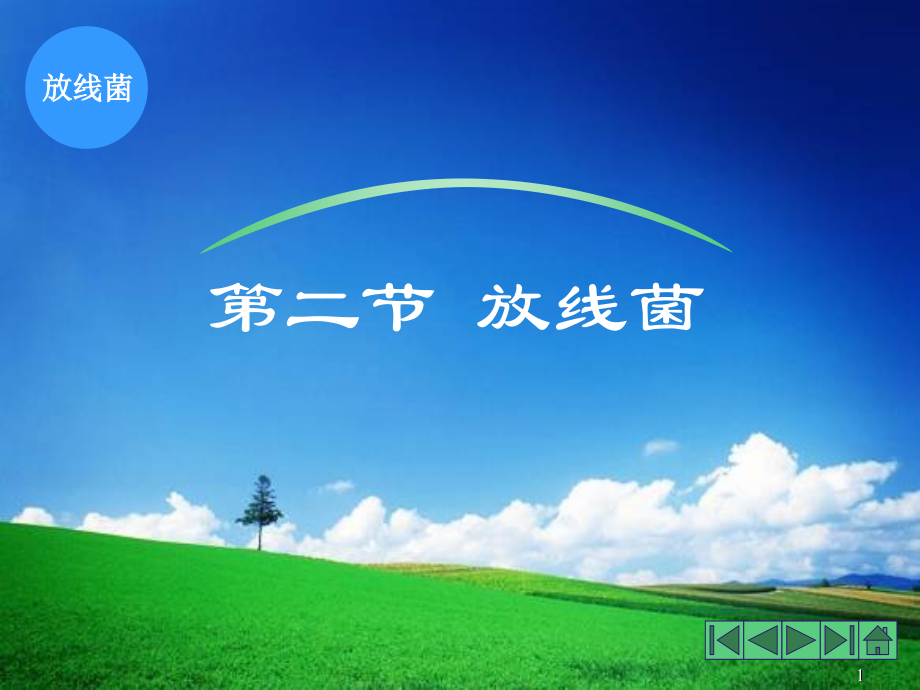 放线菌其他原核微生物.ppt_第1页