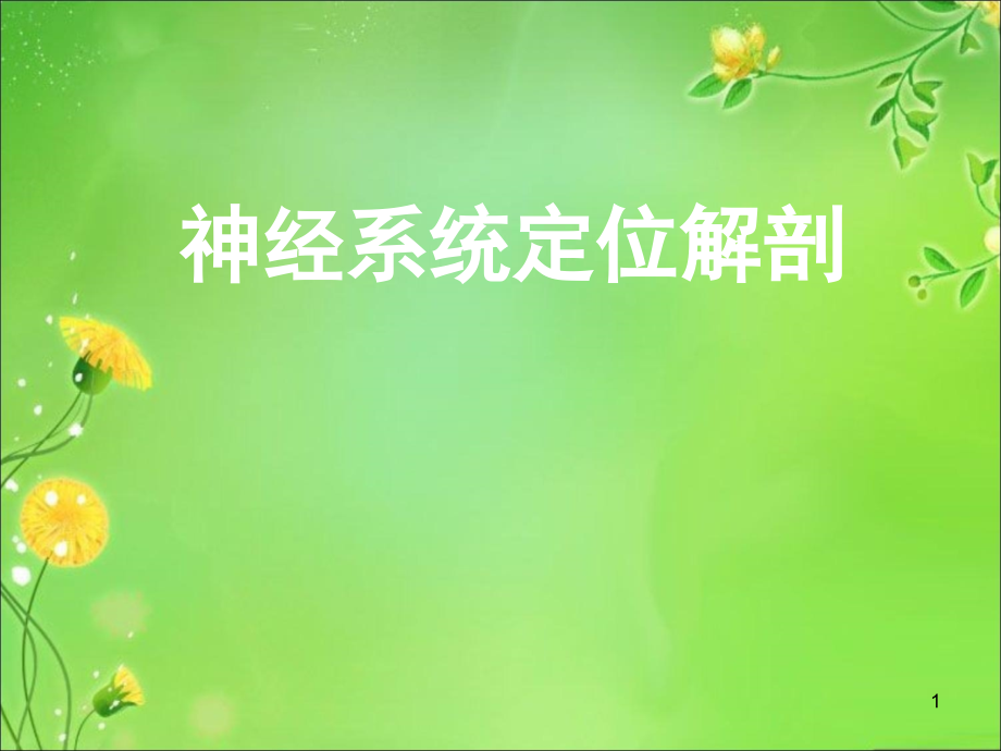 神经系统解剖定位.ppt_第1页