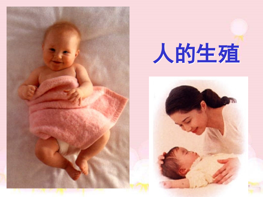 人的生殖PPT医学课件.ppt_第1页