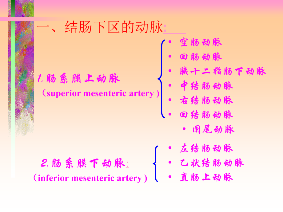 结肠下区解剖.pptx_第1页