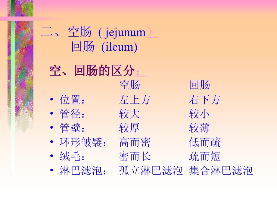 结肠下区解剖.pptx_第2页