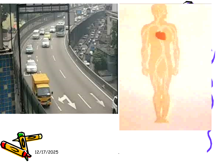 七年级生物下册第四章第一节流动的组织—血液人教版.ppt_第2页