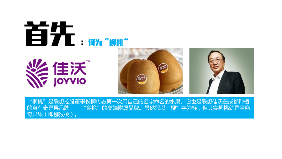 浅析柳桃的互联网营销.pptx_第2页