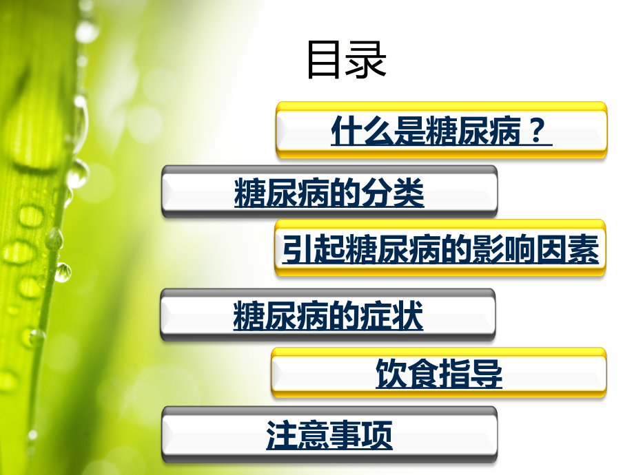 内分泌科饮食糖尿病.ppt_第2页