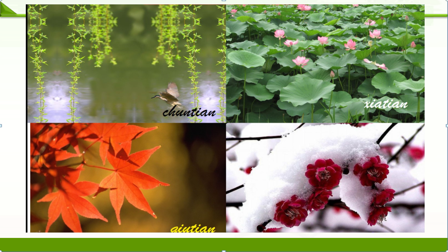 【语文】部编人教版初中八年级下册：课件大自然的语言优质课件.pptx_第1页