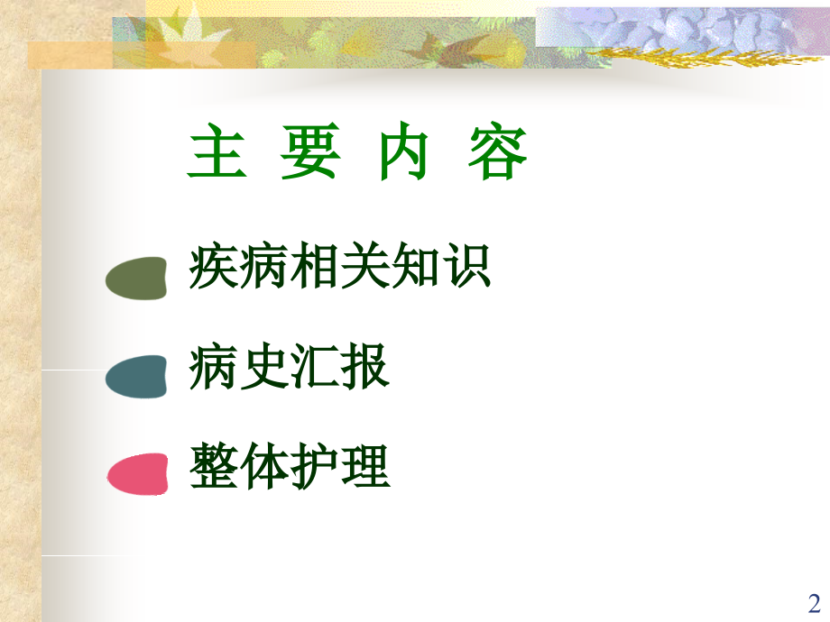 护理查房主动脉夹层课件.ppt_第2页