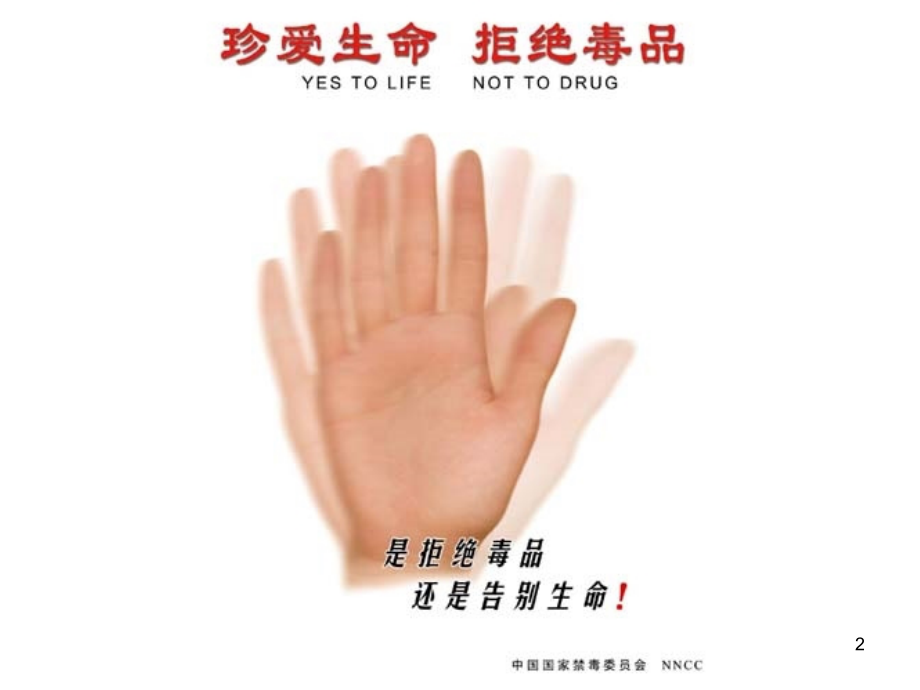 禁毒教育班会课.ppt_第2页