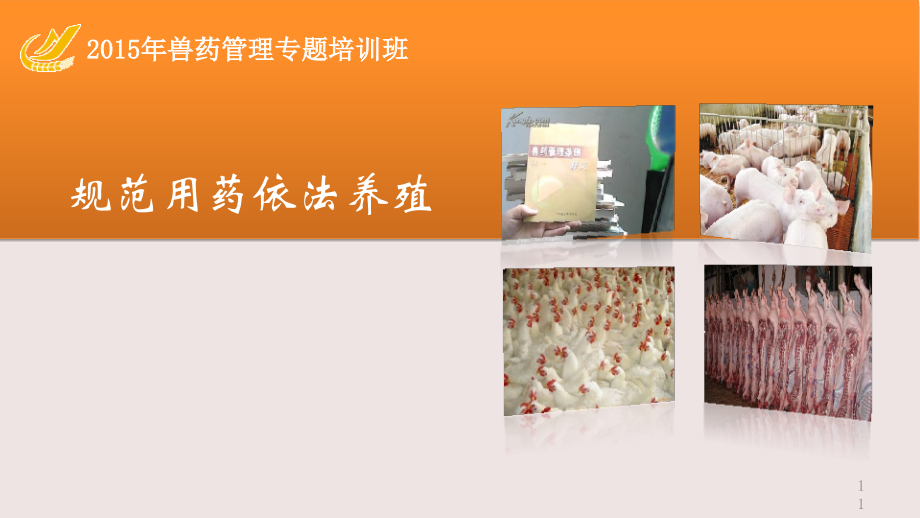 兽药管理专题培训班讲解(使用环节).pptx_第1页