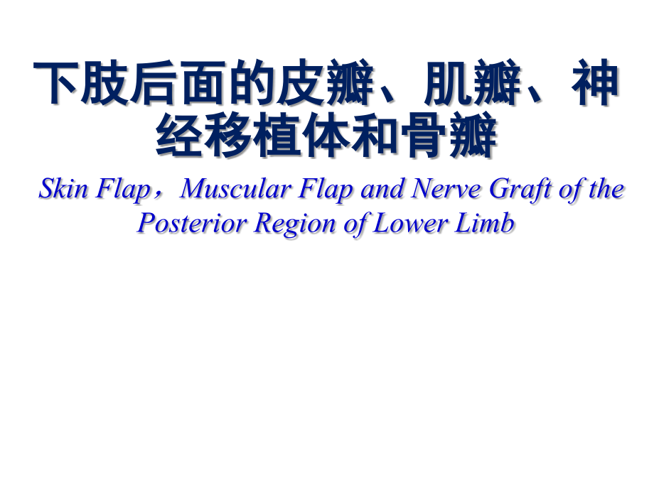 下肢后面显微解剖学ppt医学课件.ppt_第1页